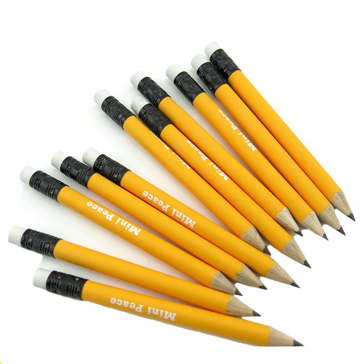 Graphite Professional Drawing Pencil